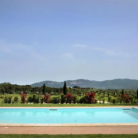 Ulivo Nel Borgo Santa Chiara *