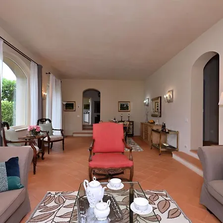 Ulivo Nel Borgo Santa Chiara *