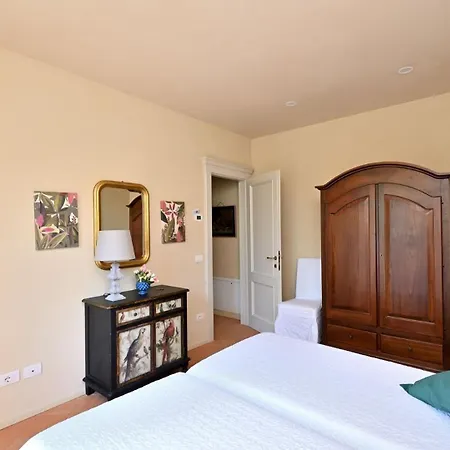 Ulivo Nel Borgo Santa Chiara