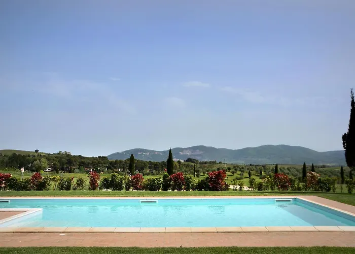 Ulivo Nel Borgo Santa Chiara *