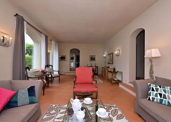 Ulivo Nel Borgo Santa Chiara *