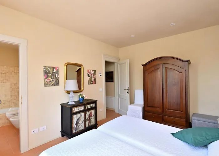 Ulivo Nel Borgo Santa Chiara