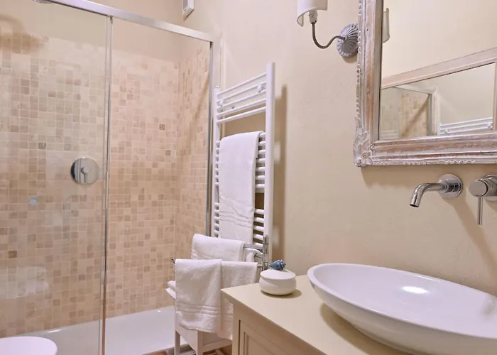 Ulivo Nel Borgo Santa Chiara